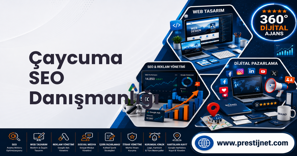 Çaycuma SEO Danışmanlığı