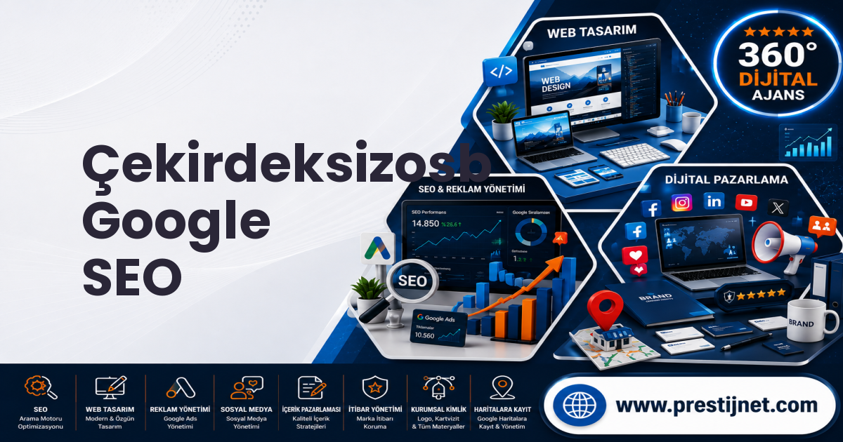 Çekirdeksizosb Google SEO