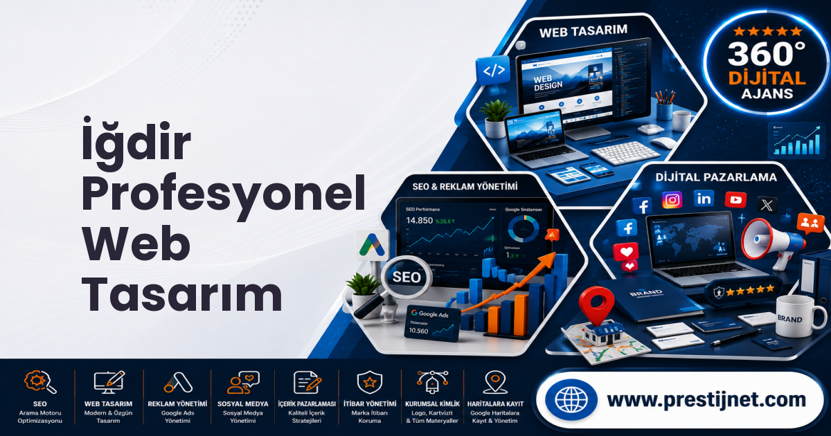 İğdir Profesyonel Web Tasarım