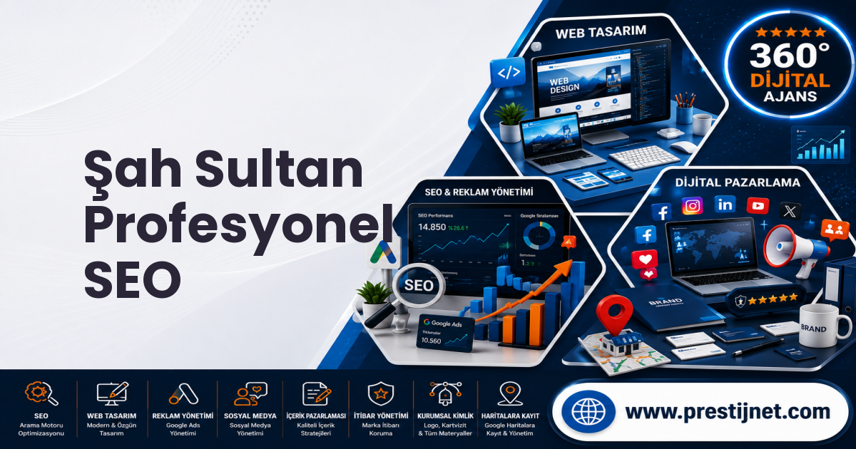 Şah Sultan Profesyonel SEO