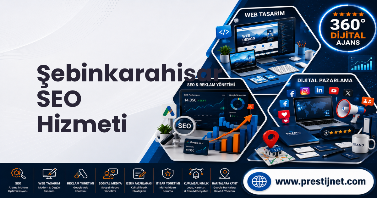 Şebinkarahisar SEO Hizmeti