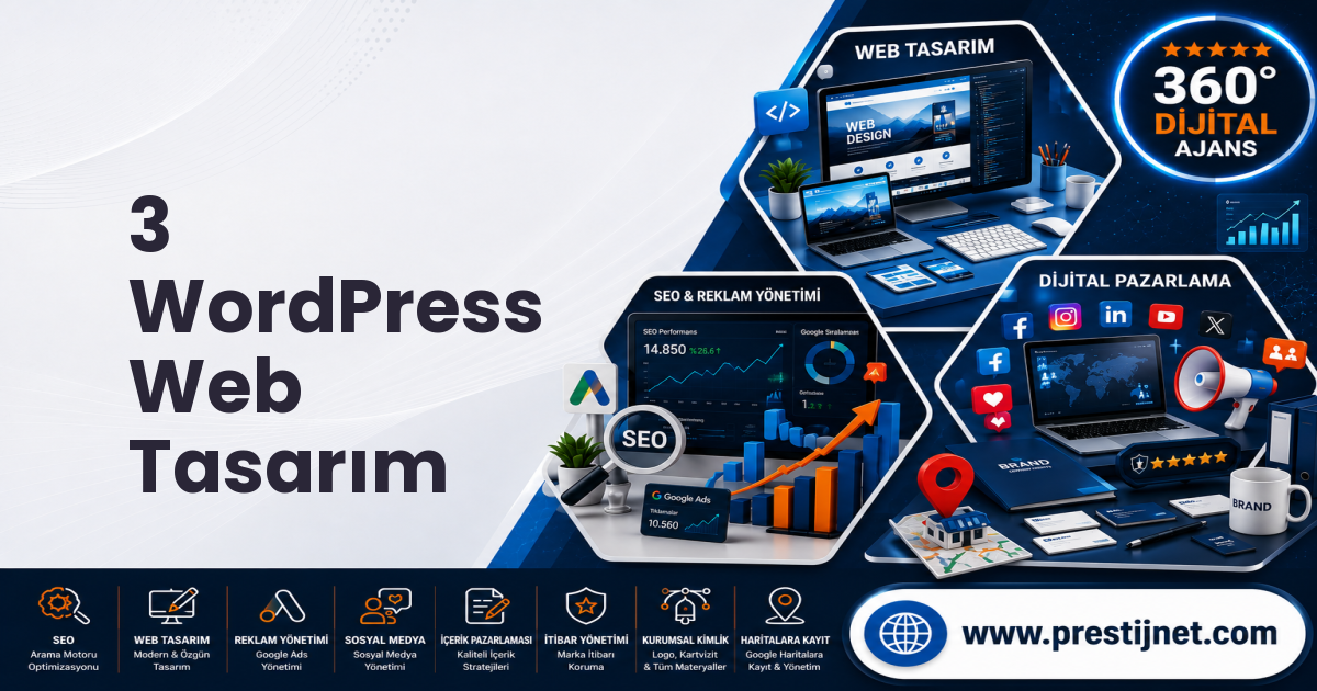 3 WordPress Web Tasarım