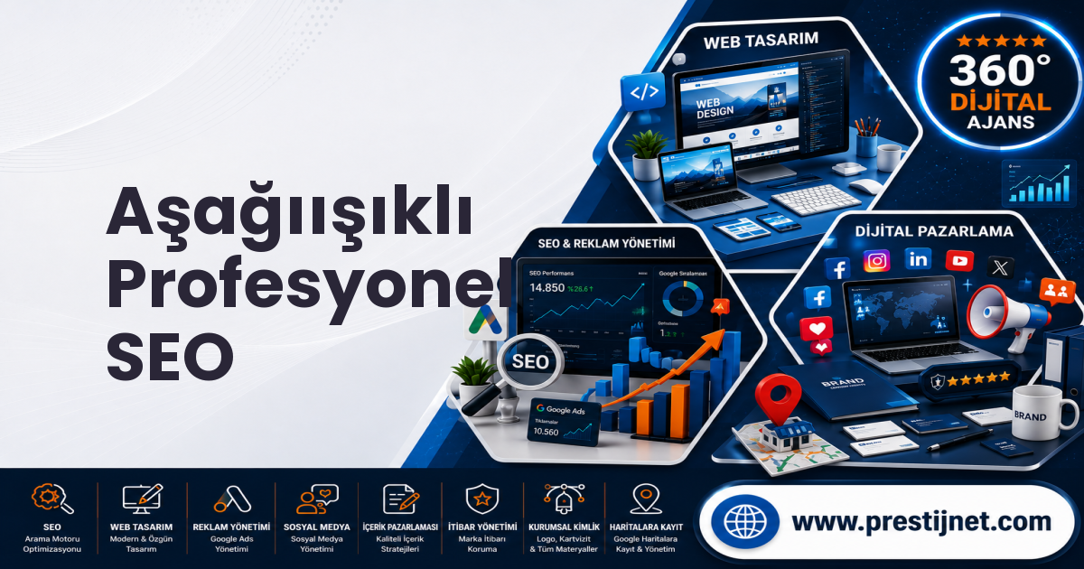 Aşağıışıklı Profesyonel SEO