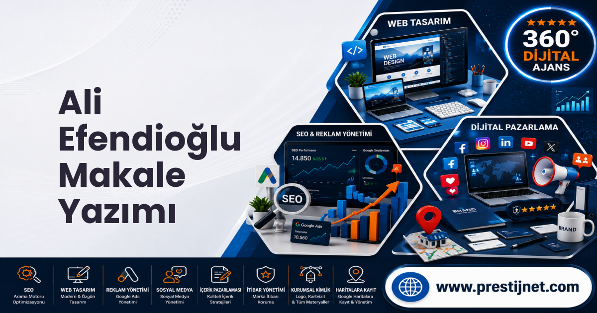 Ali Efendioğlu Makale Yazımı