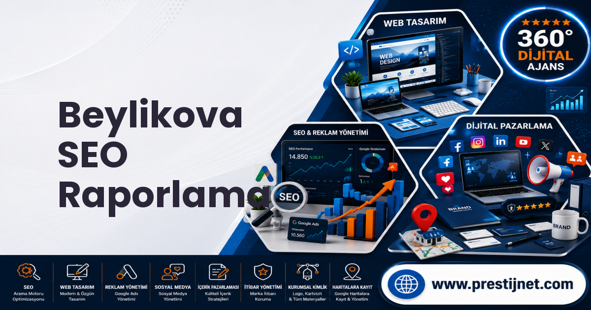 Beylikova SEO Raporlama