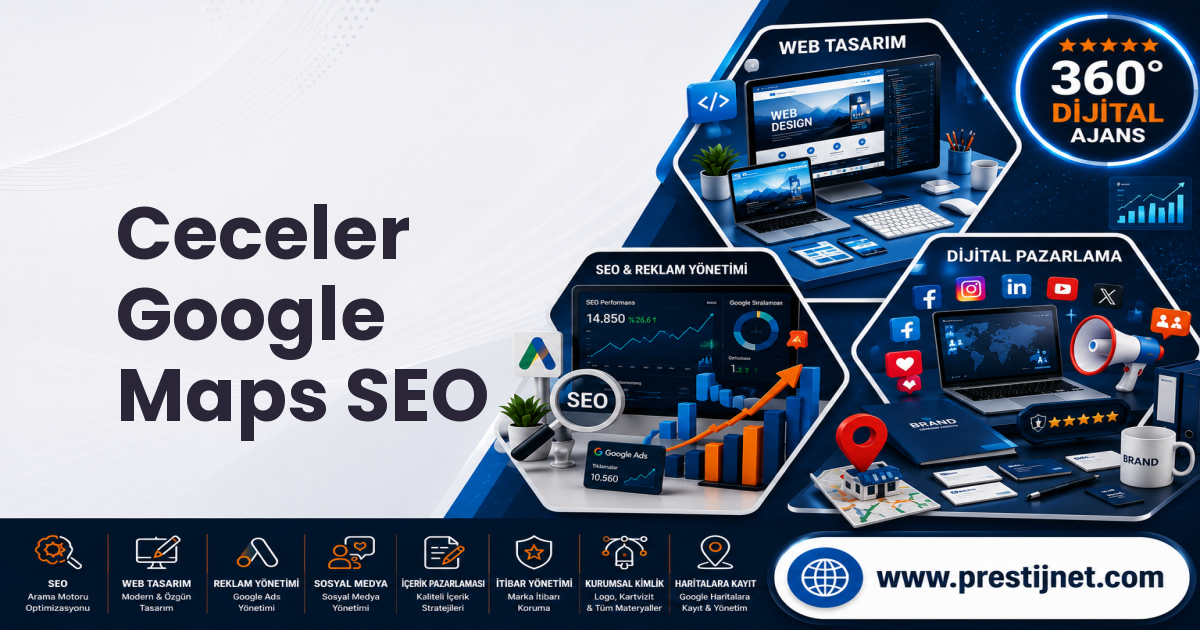 Ceceler Google Maps SEO