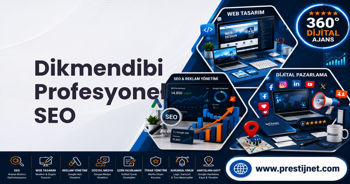 Dikmendibi Profesyonel SEO