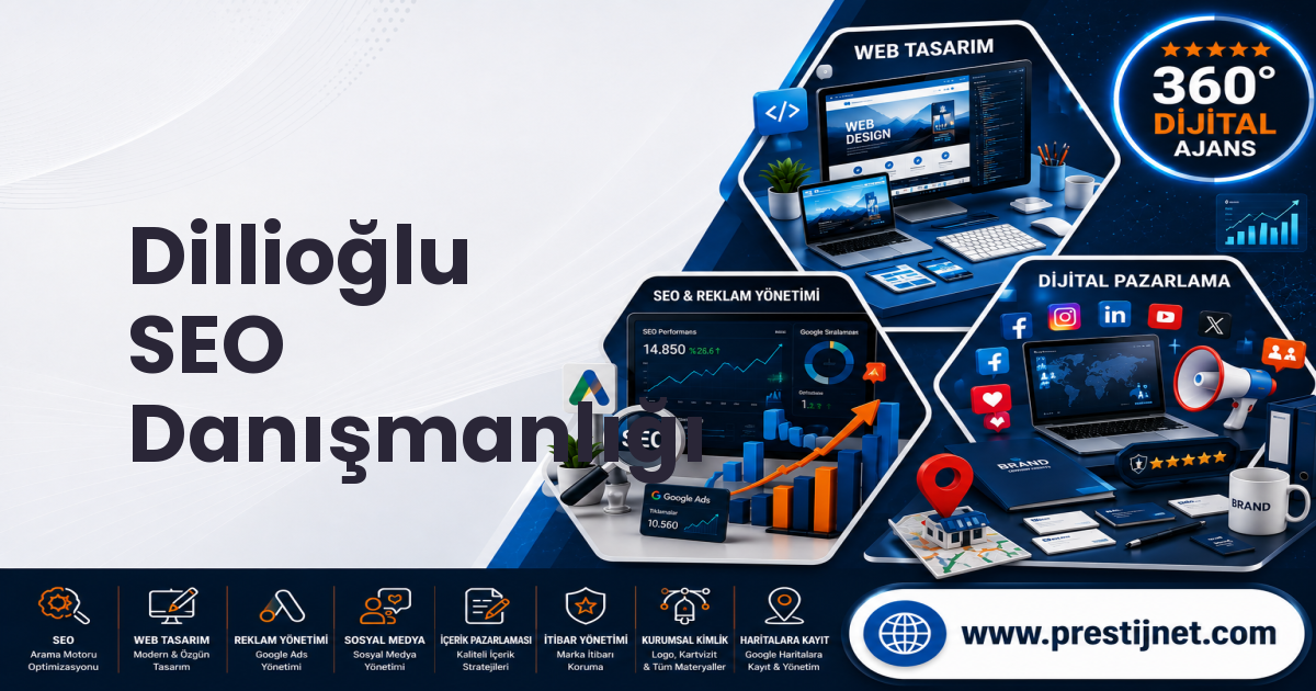 Dillioğlu SEO Danışmanlığı