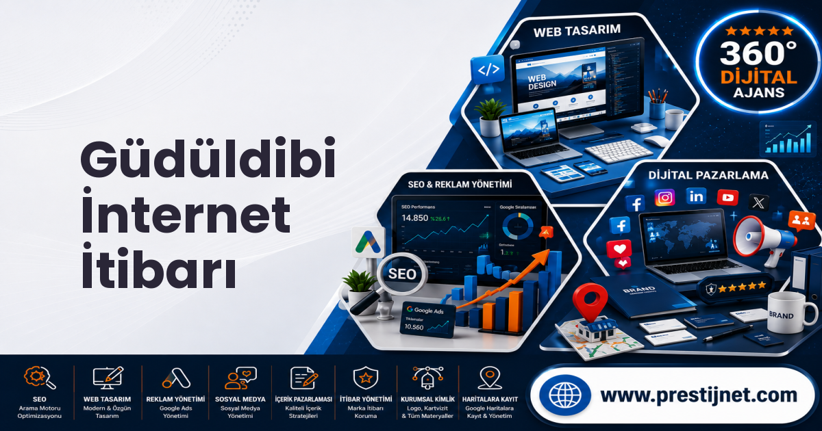 Güdüldibi İnternet İtibarı