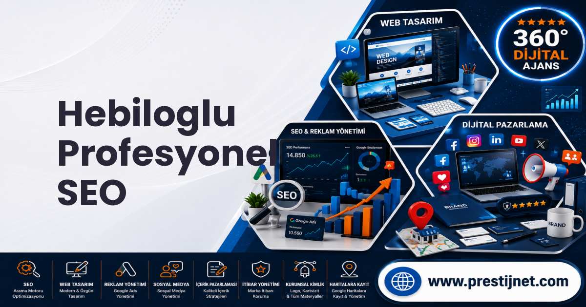 Hebiloglu Profesyonel SEO