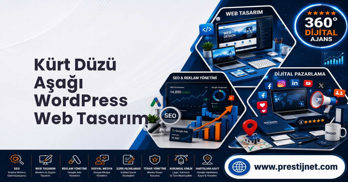 Kürt Düzü Aşağı WordPress Web Tasarım