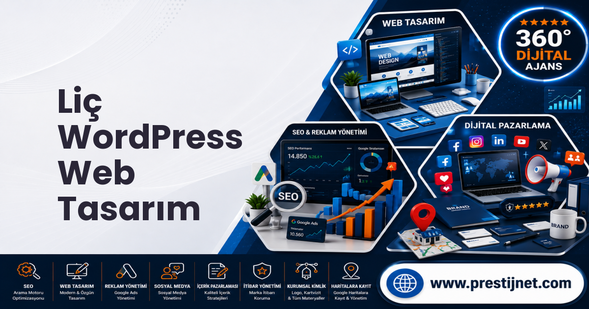 Liç WordPress Web Tasarım