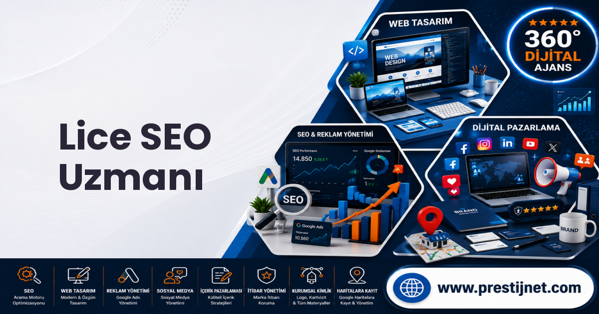 Lice SEO Uzmanı