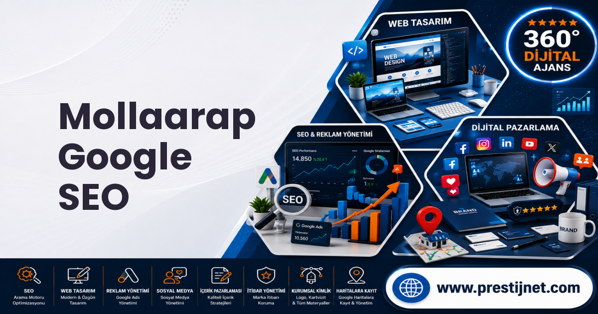 Mollaarap Google SEO