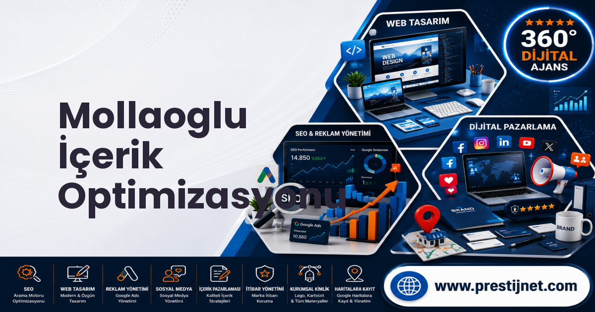Mollaoglu İçerik Optimizasyonu