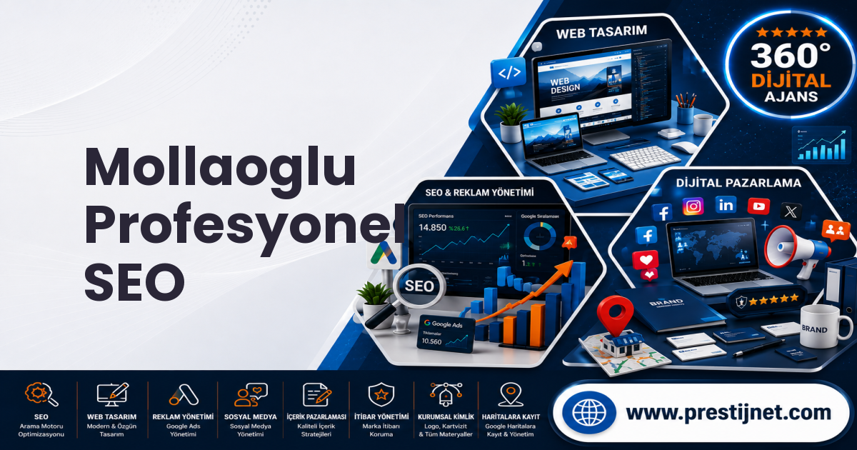 Mollaoglu Profesyonel SEO