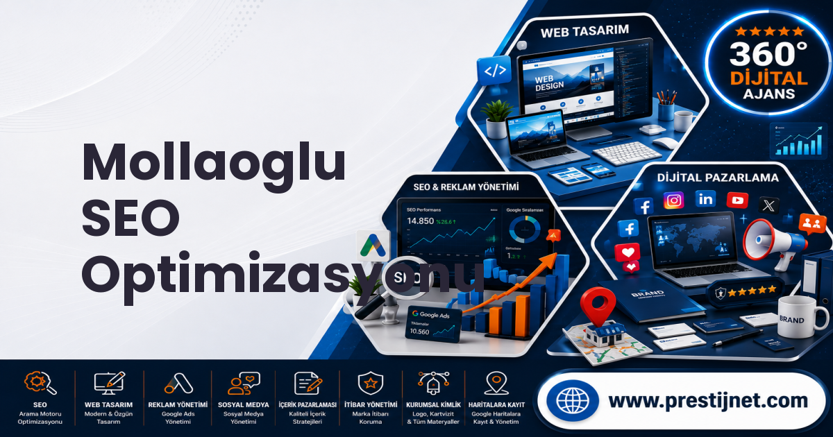 Mollaoglu SEO Optimizasyonu