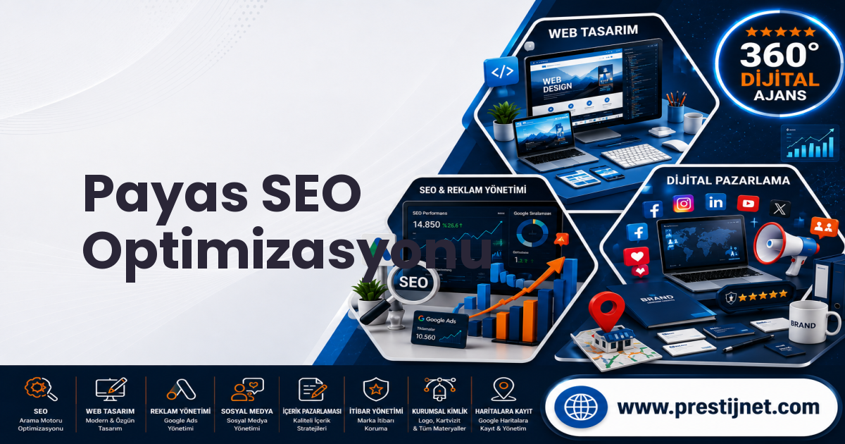 Payas SEO Optimizasyonu