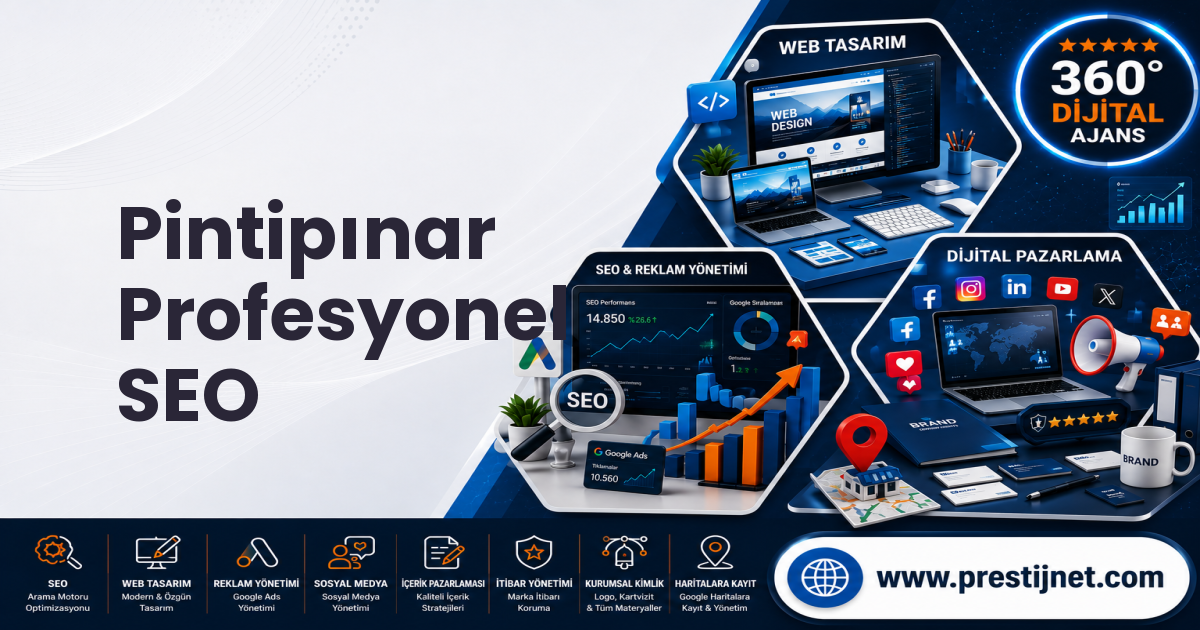 Pintipınar Profesyonel SEO