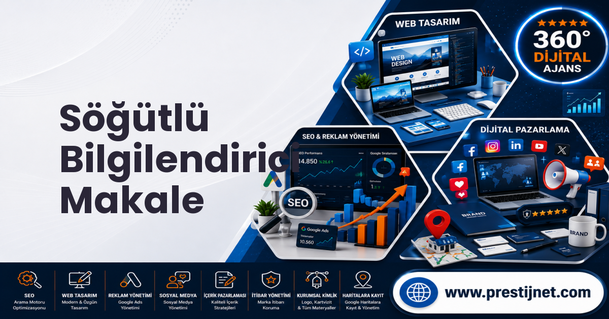 Söğütlü Bilgilendirici Makale