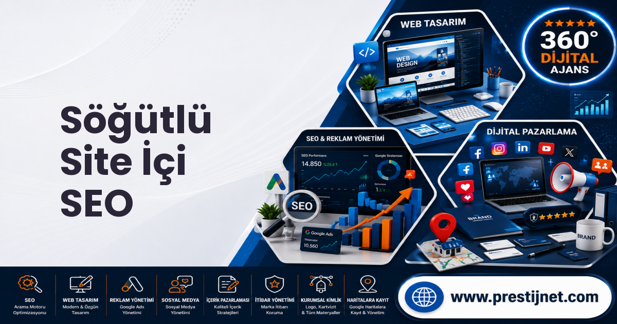 Söğütlü Site İçi SEO