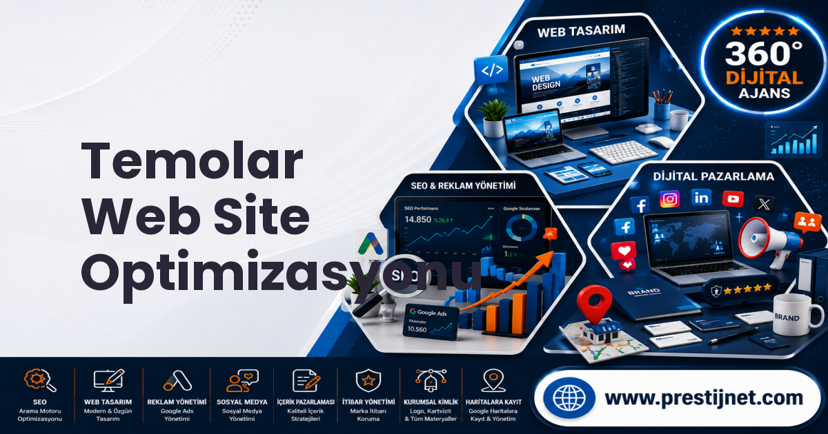 Temolar Web Site Optimizasyonu