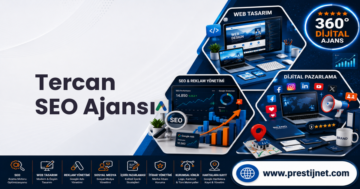 Tercan SEO Ajansı